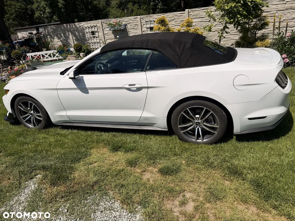 Ford Mustang Cabrio 2.3 Eco Boost - 10