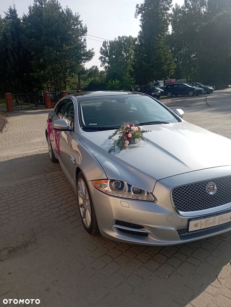 Jaguar XJ 3.0 V6 Kompressor Portfolio - 11