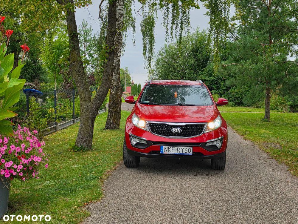 Kia Sportage - 34