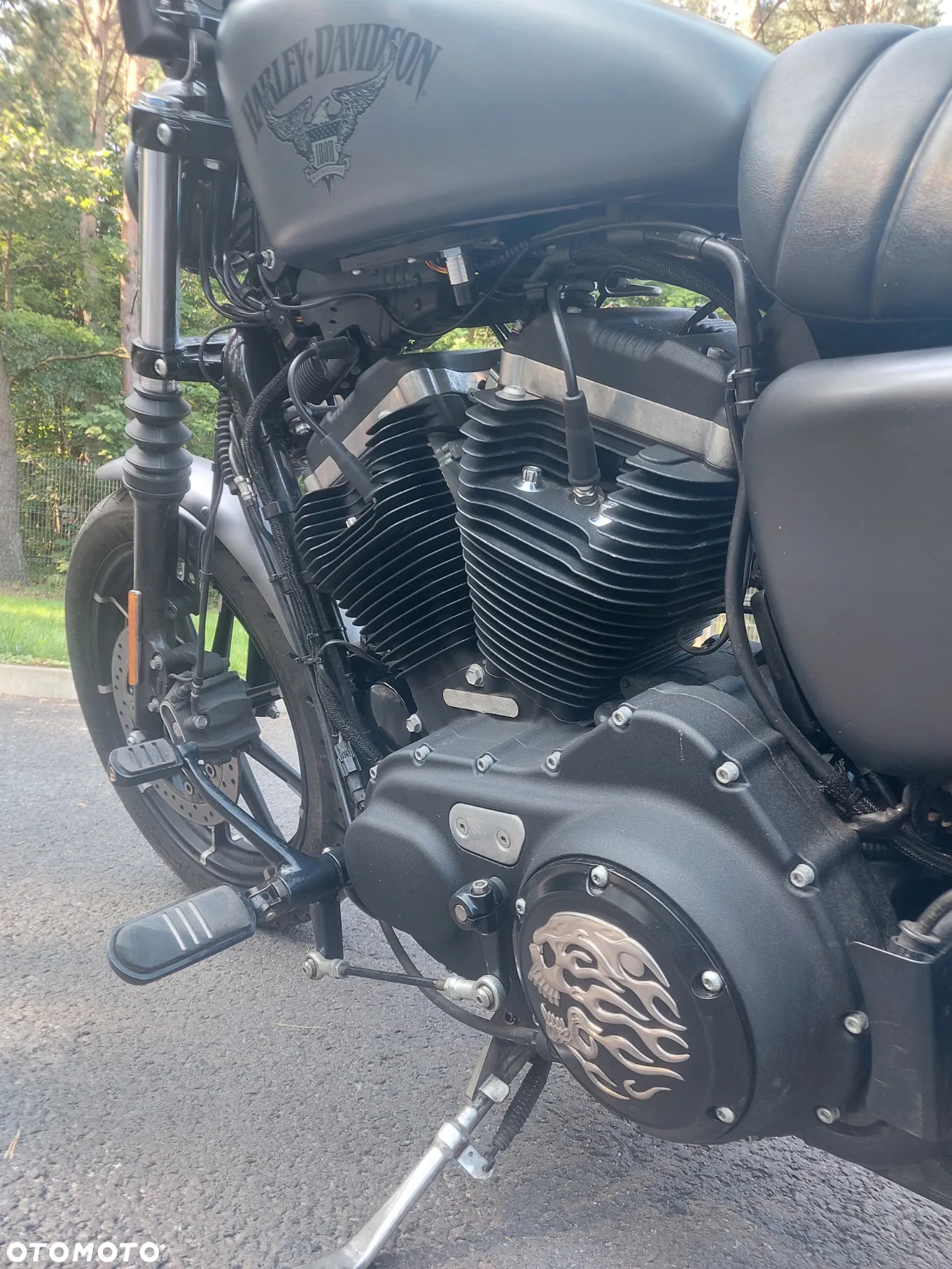 Harley-Davidson Sportster Iron 883 - 10