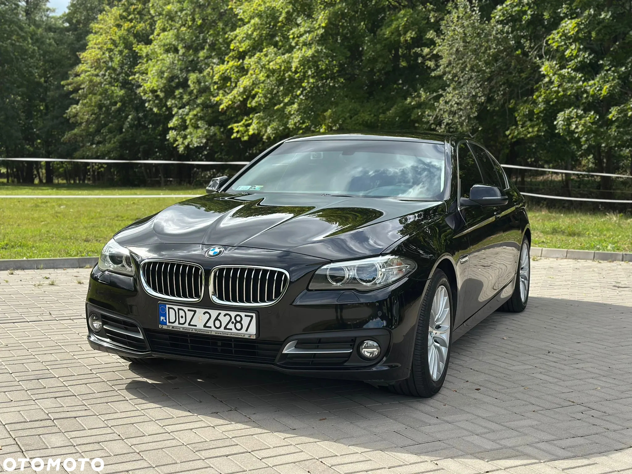 BMW Seria 5 520i Luxury Line - 6