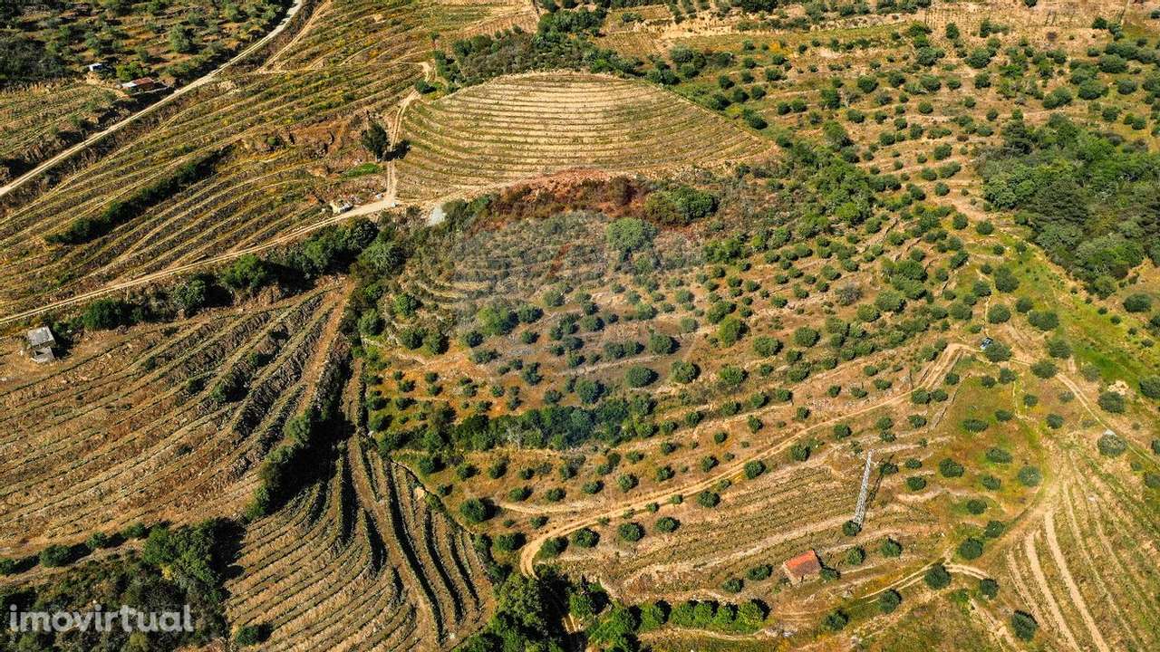 Terreno  para venda - Grande imagem: 3/6