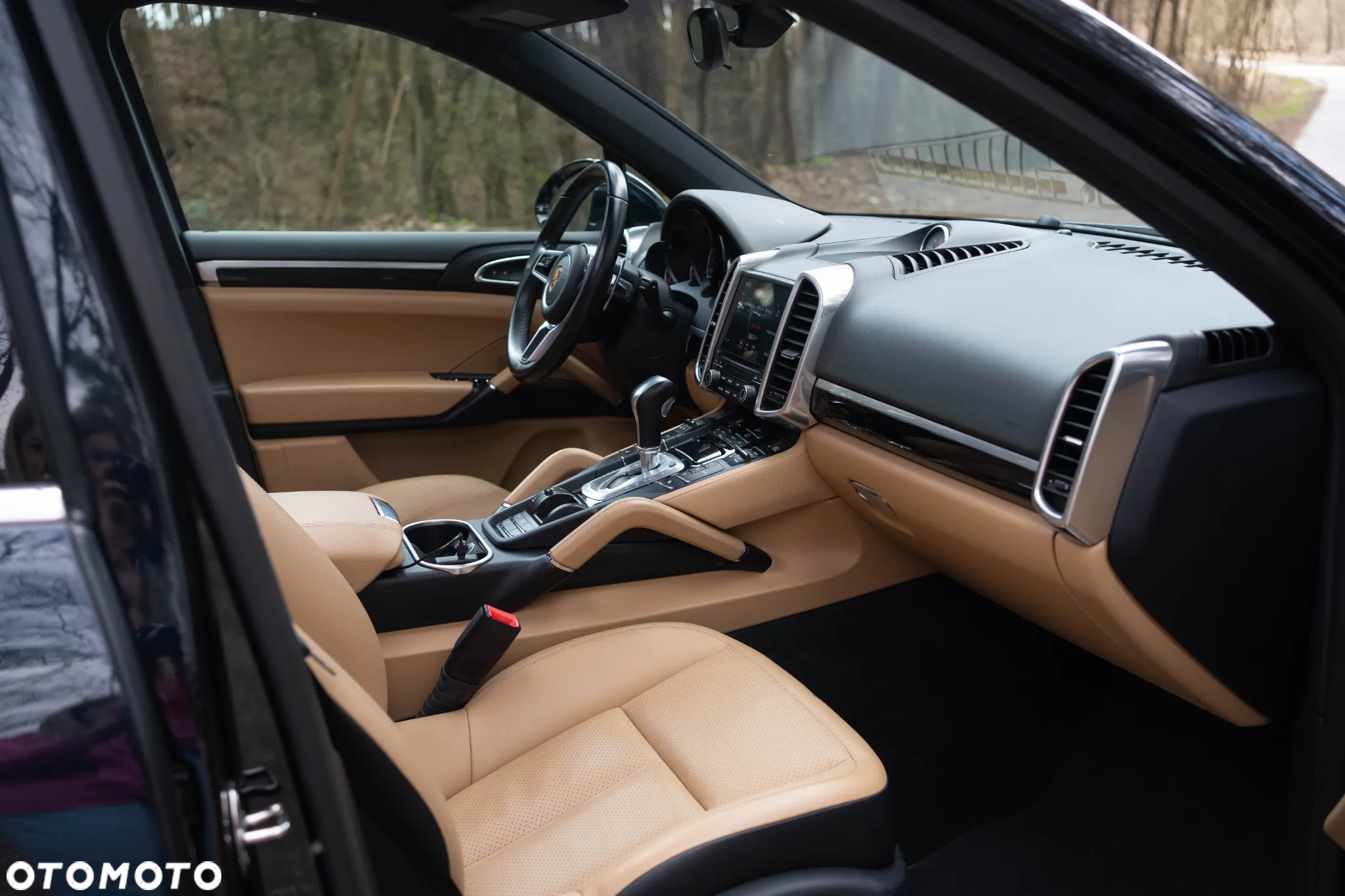 Porsche Cayenne Platinum Edition - 16