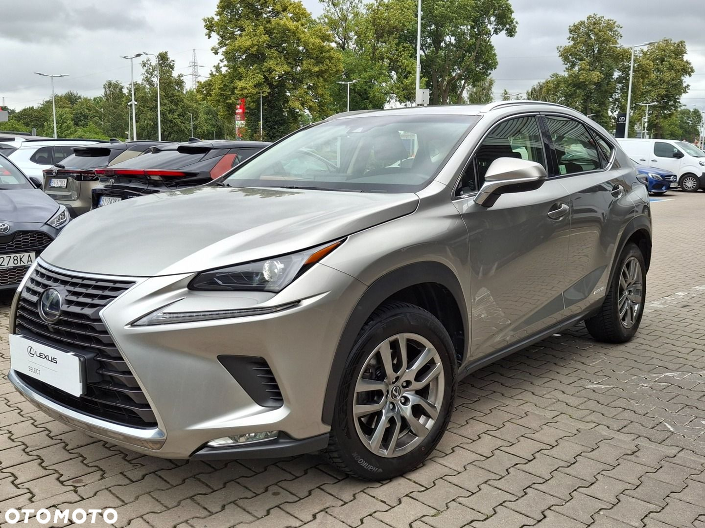 Lexus NX - 25