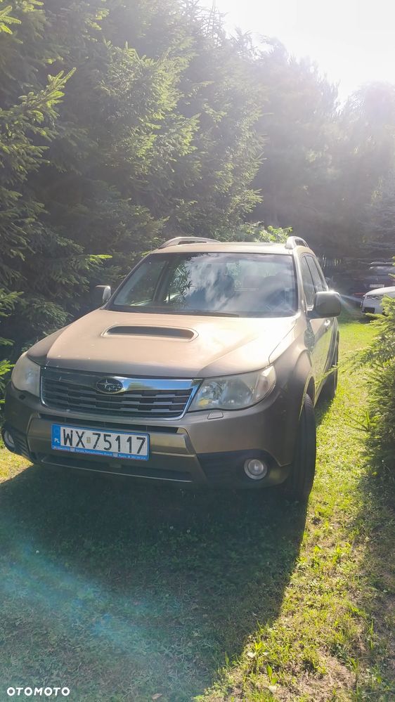 Subaru Forester - 1