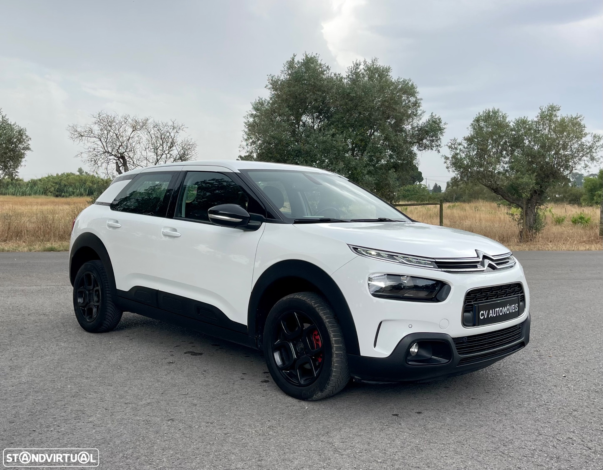 Citroën C4 Cactus 1.5 BlueHDi Feel - 3