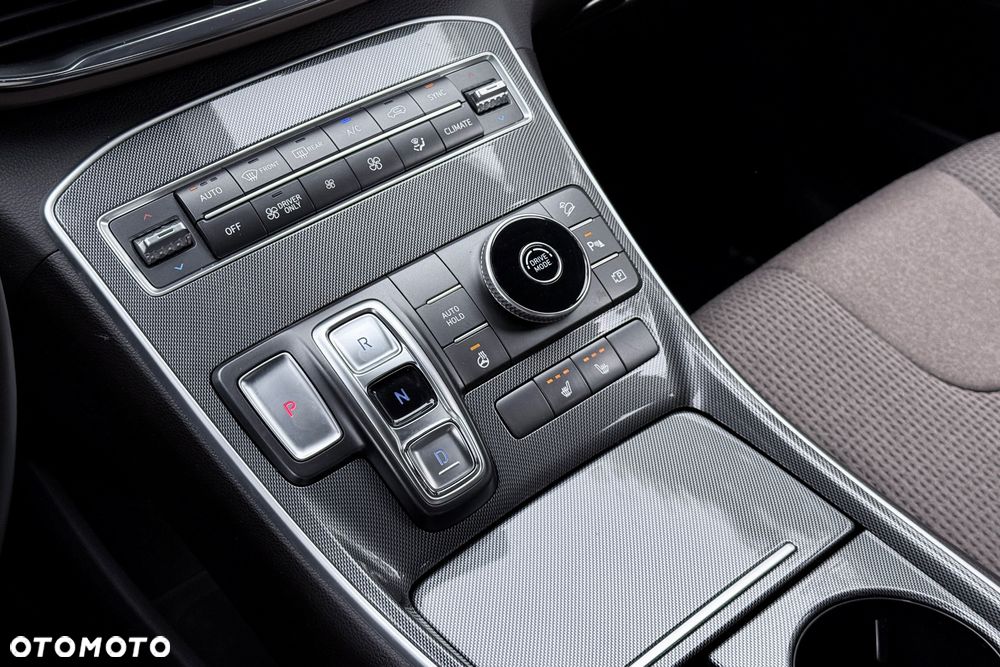 Hyundai Santa Fe - 20