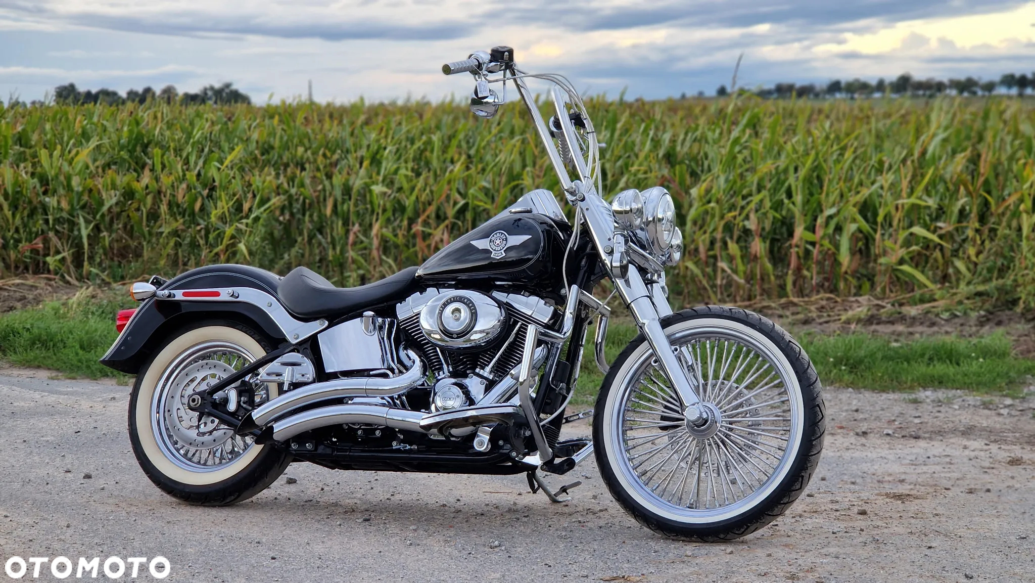 Harley-Davidson Softail Fat Boy - 3