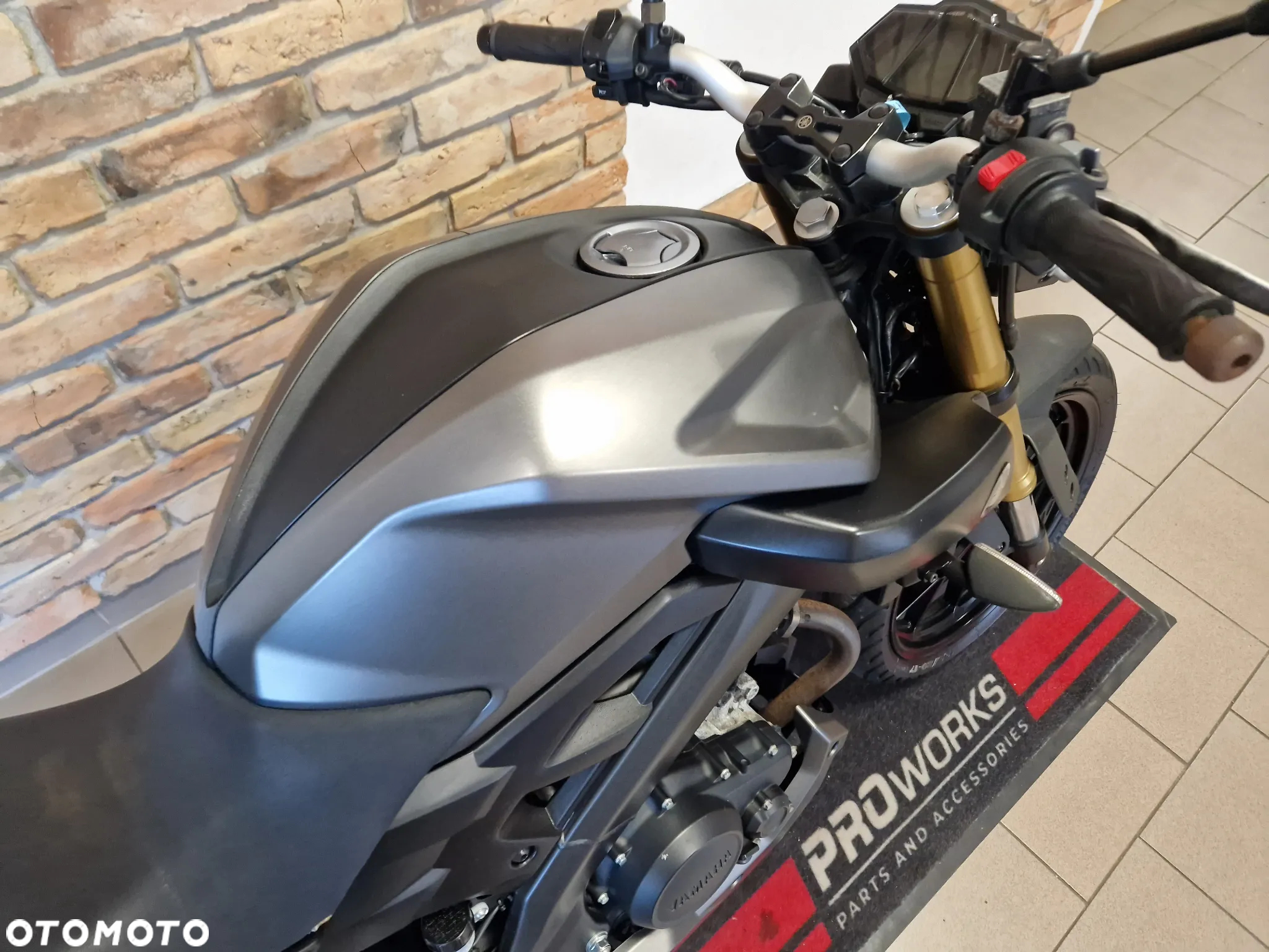 Yamaha MT - 19