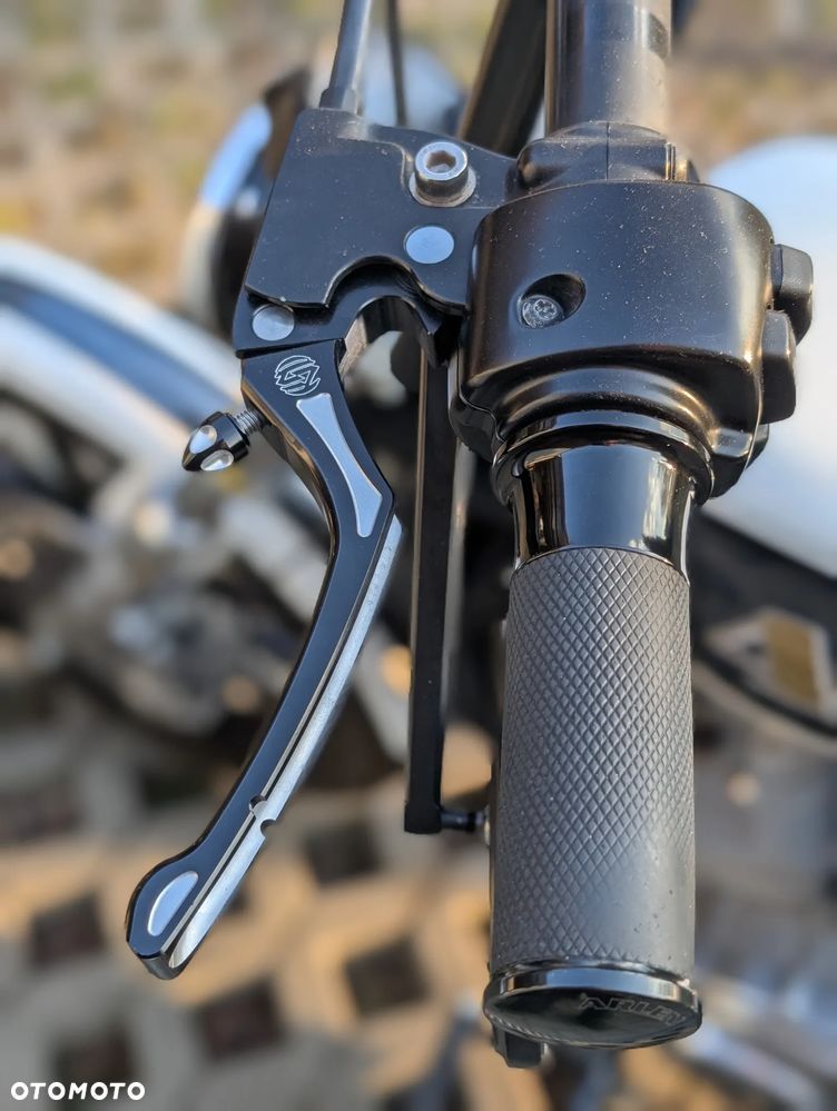 Harley-Davidson Sportster Iron 883 - 7