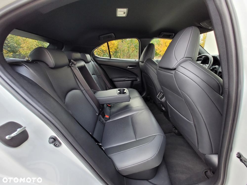 Lexus UX 300h F Sport - 17