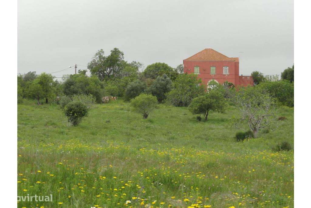 Excelente - casa c / terreno - algarve - armação de pera. - Grande imagem: 5/5