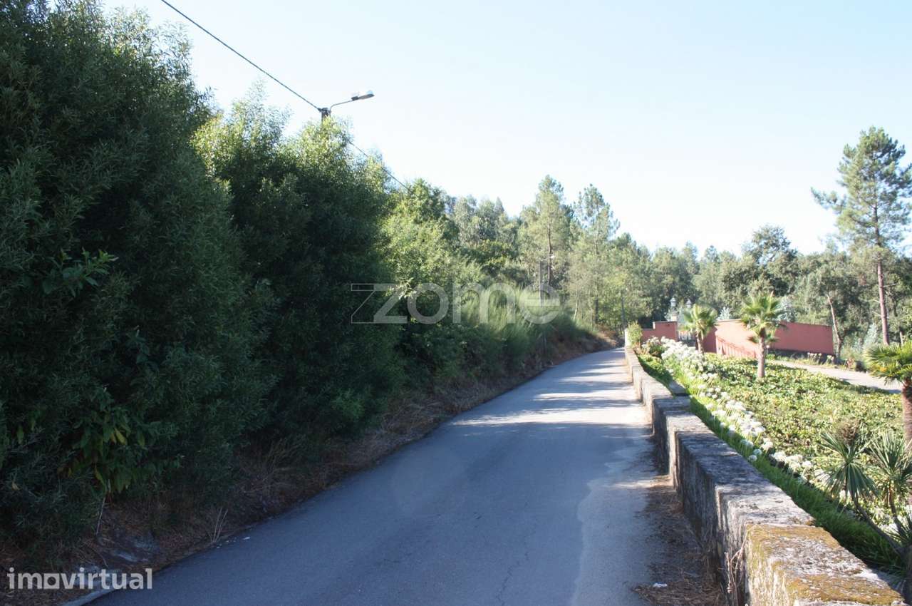 Terreno rústico c/37.400 m 2 de área. - Grande imagem: 4/15