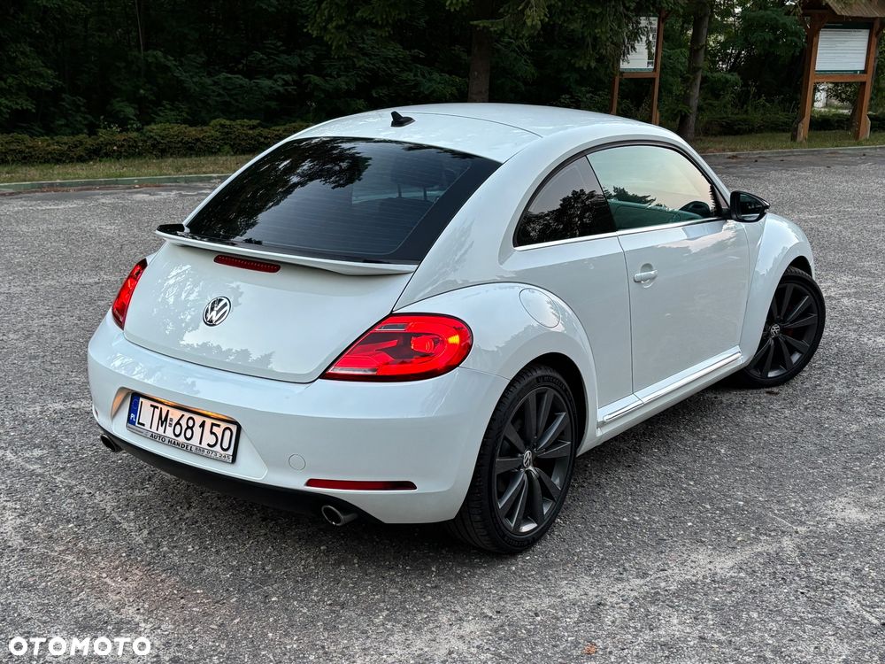 Volkswagen Beetle - 24