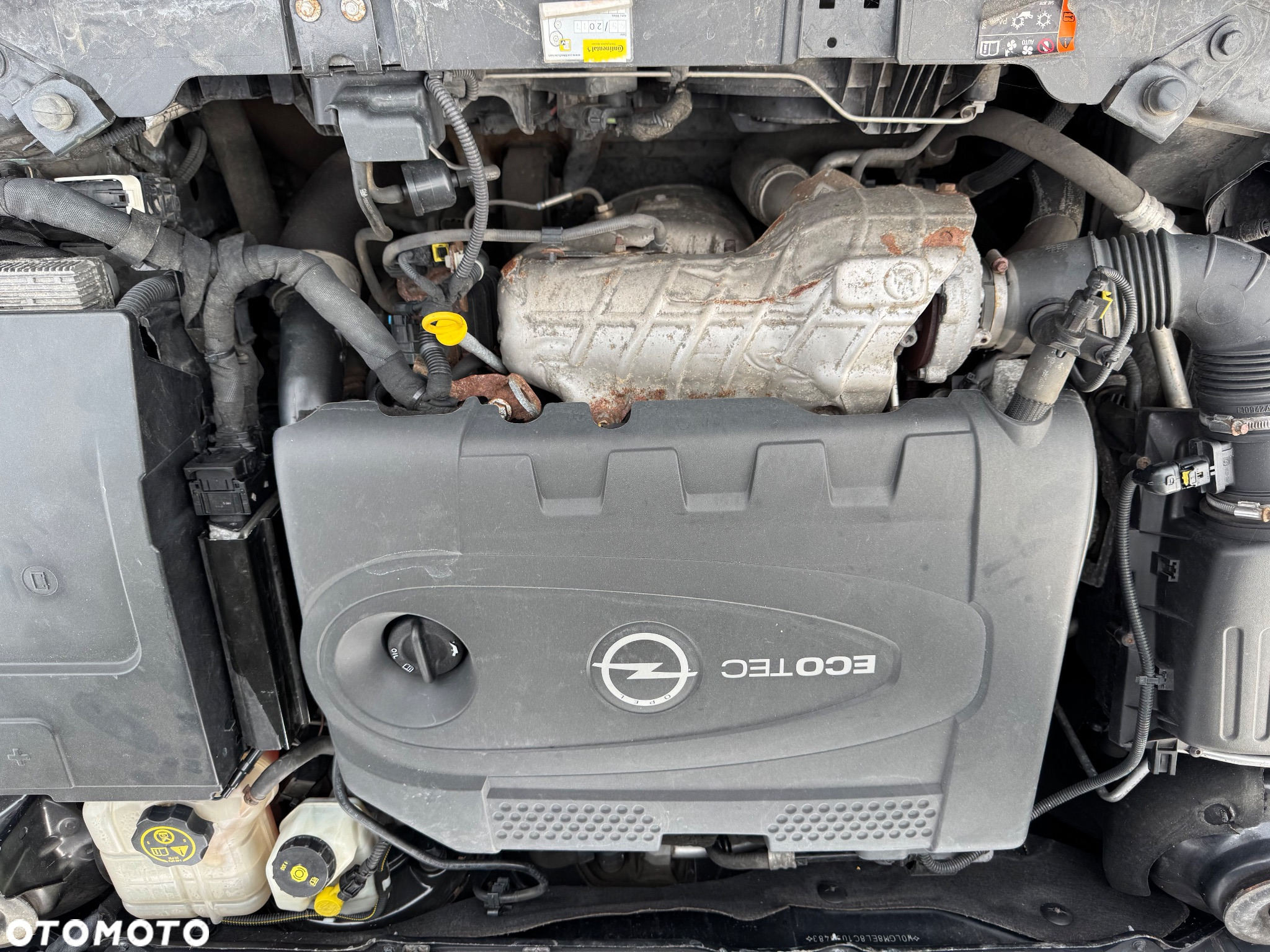 Opel Insignia 2.0 CDTI automatik Active - 31