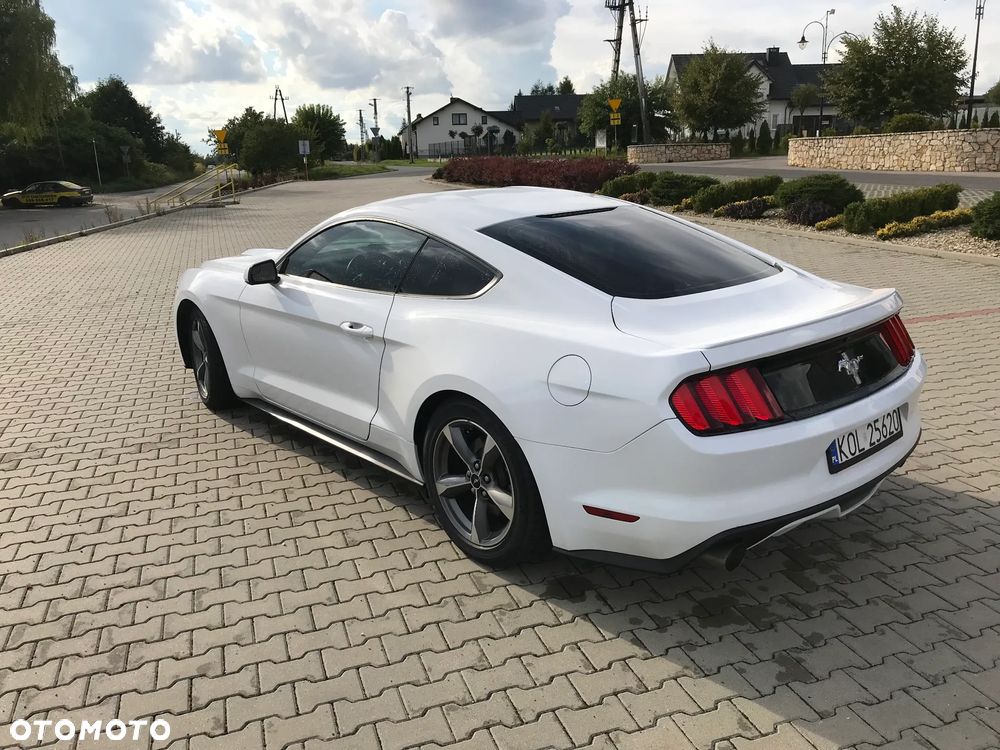 Ford Mustang - 19