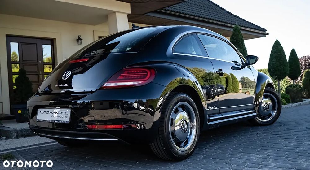Volkswagen Beetle - 12