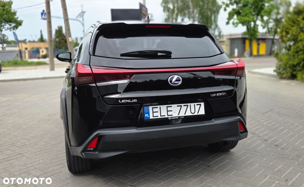 Lexus UX 250h GPF Prestige 2WD - 13