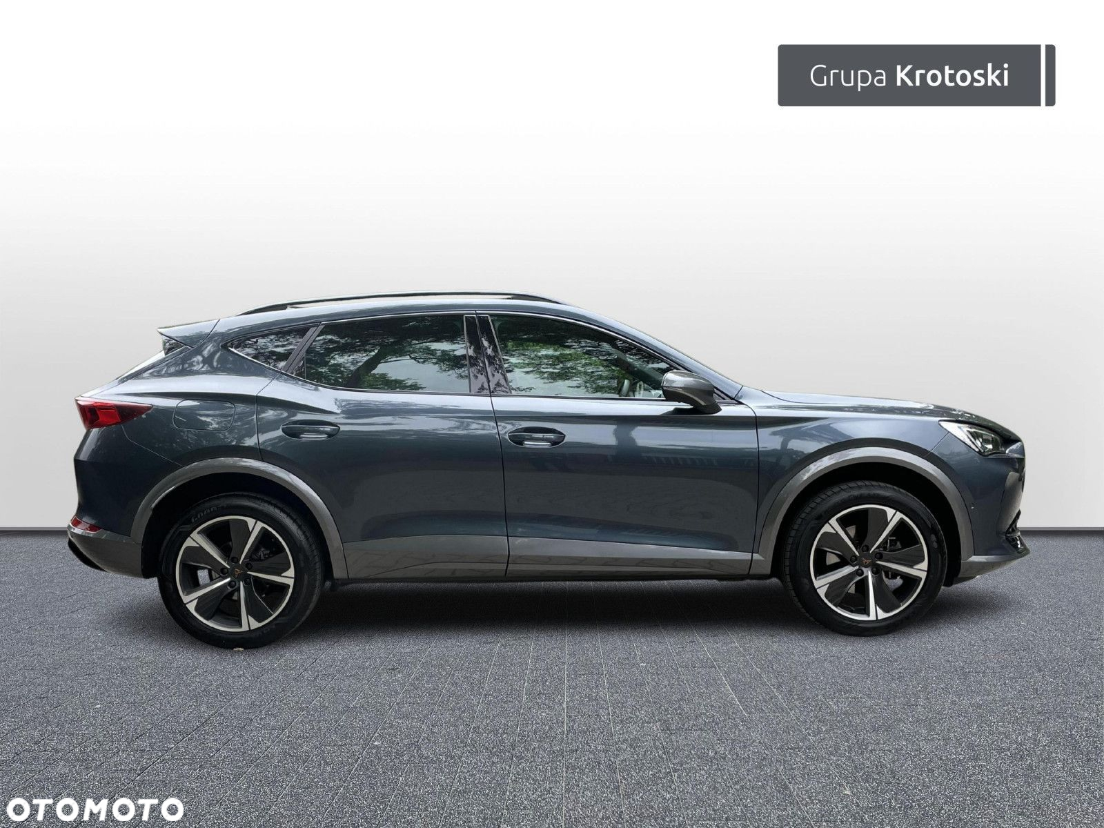 Cupra Formentor 2.0 TSI 4Drive DSG - 7