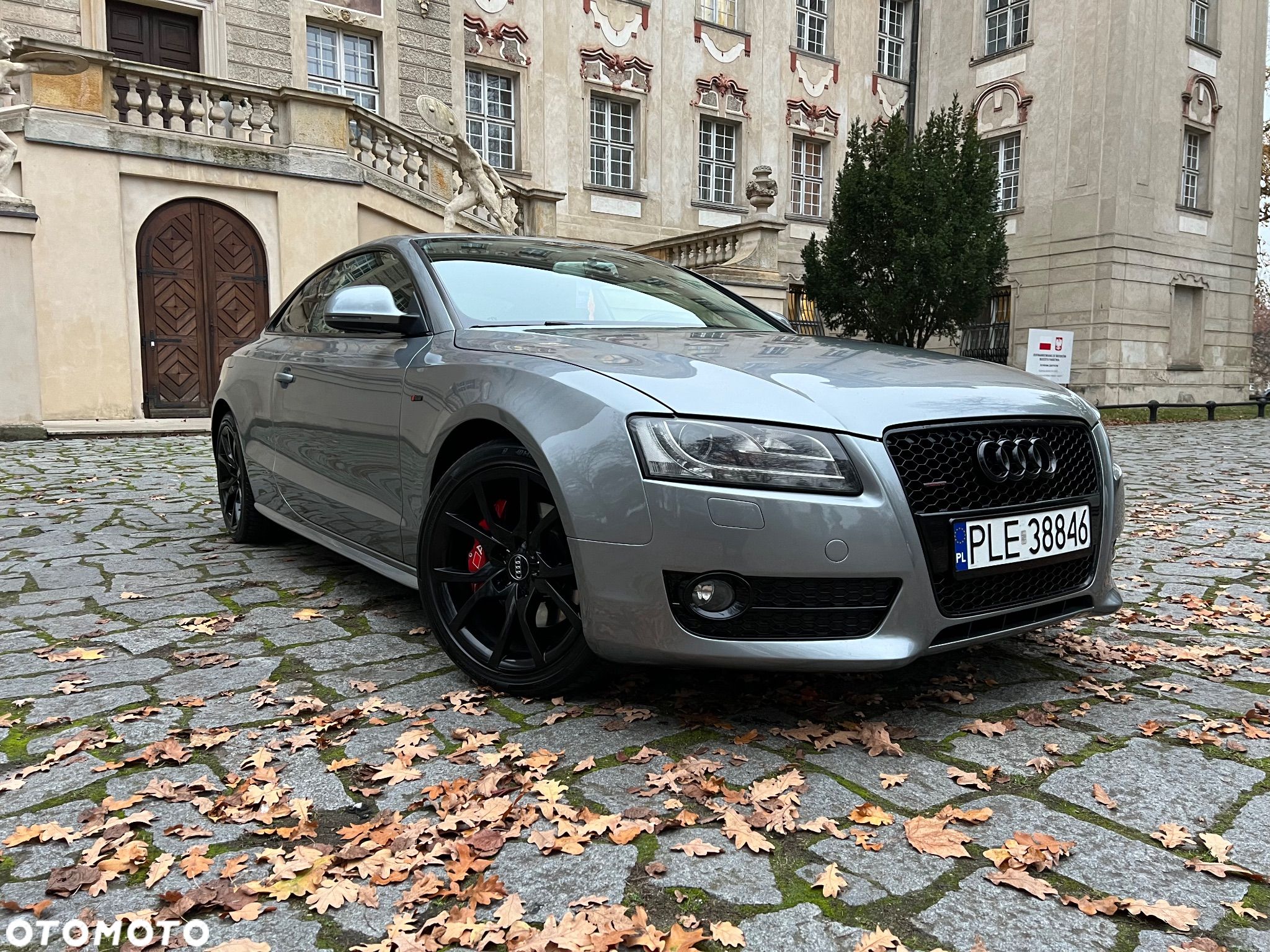 Audi A5 Coupe 3.0 TDI DPF quattro tiptronic - 1