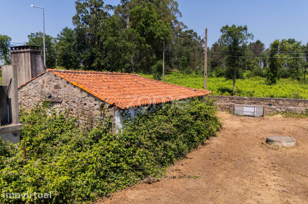Moradia Térrea para restauro em Manhente - Barcelos - Grande imagem: 5/16