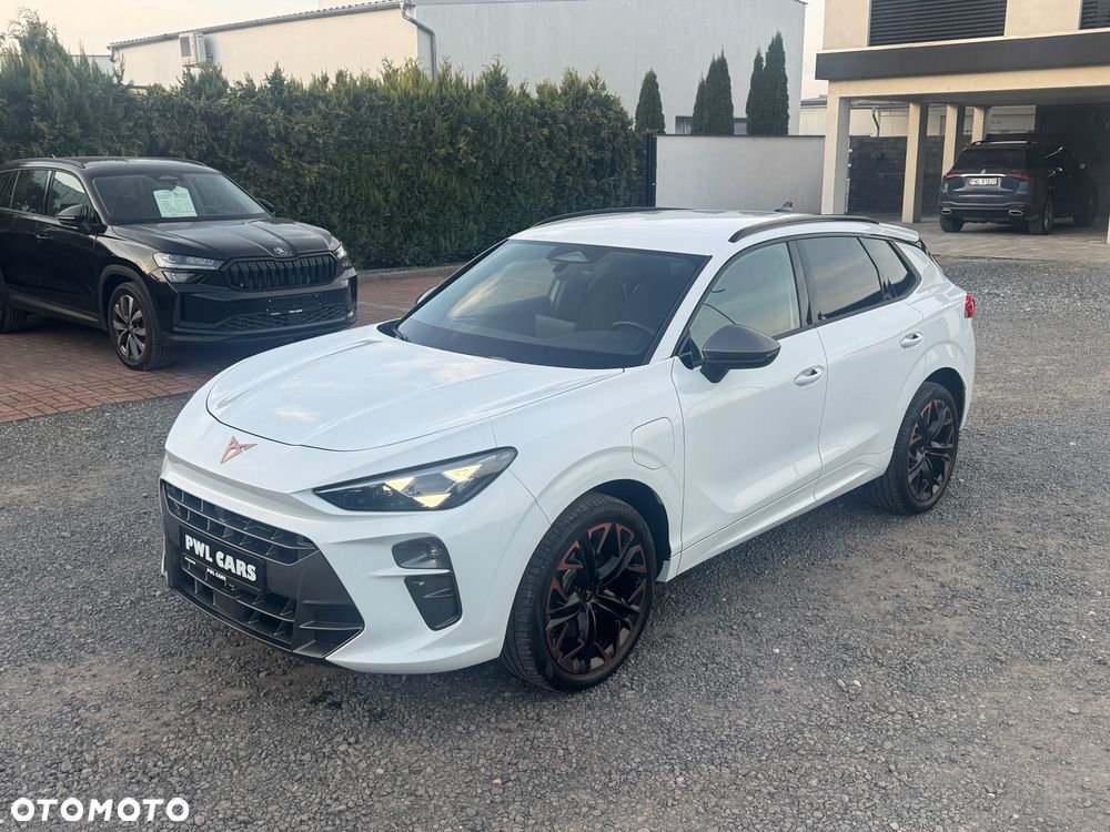 Cupra Terramar - 11