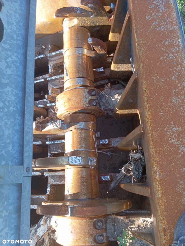 Pacton - 15
