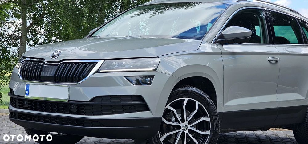 Skoda Karoq 2.0 TDI SCR 4x4 Ambition DSG - 14
