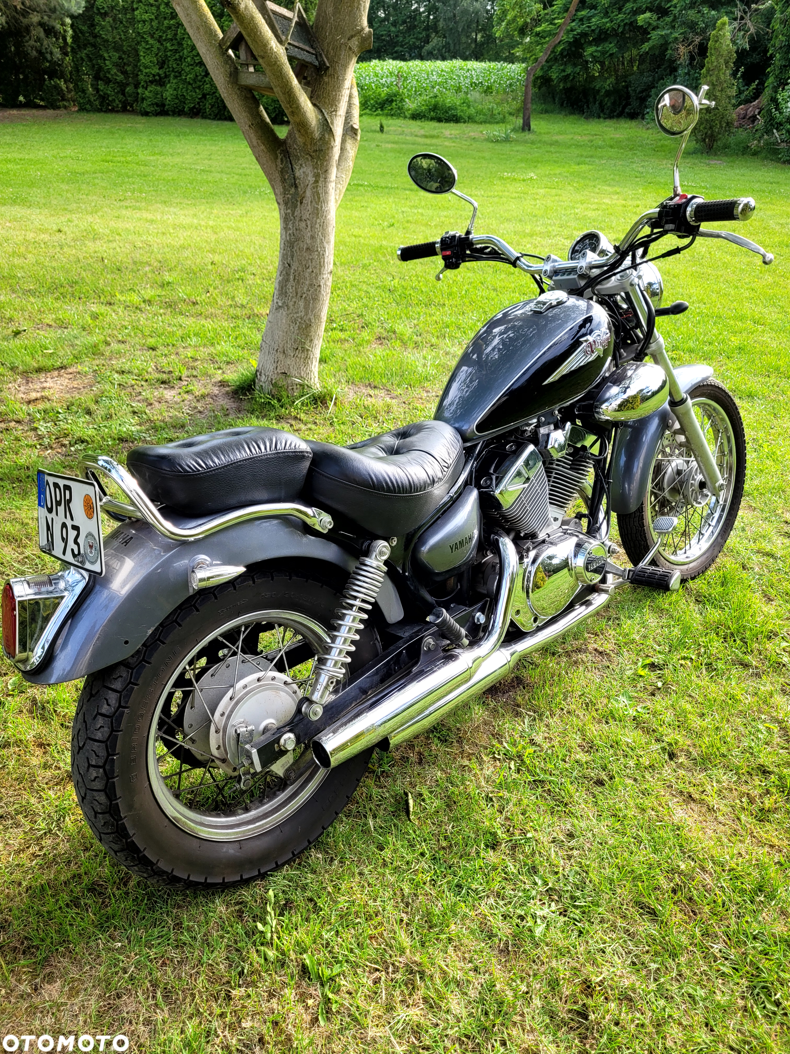 Yamaha Virago - 9
