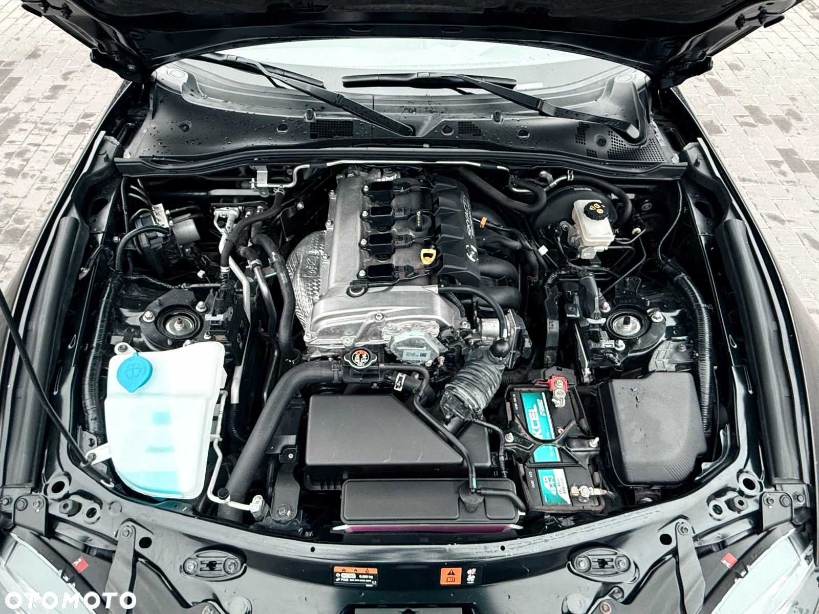 Mazda MX-5 - 11