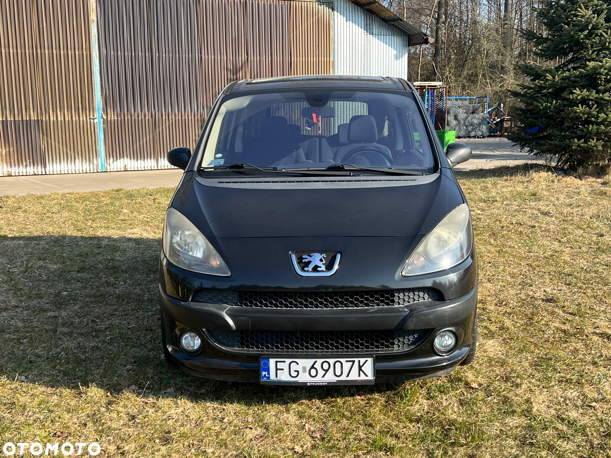 Peugeot 1007 - 2
