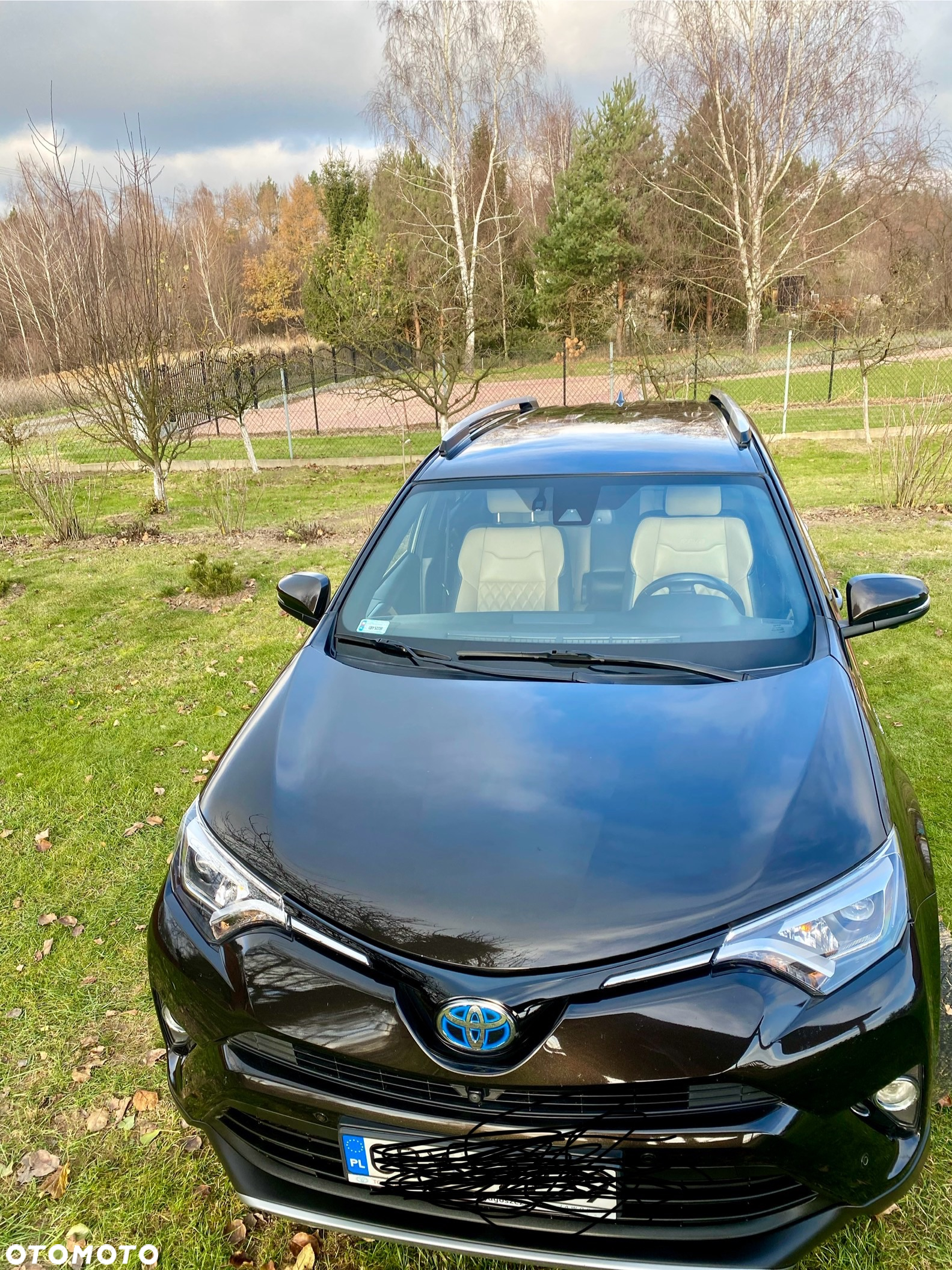 Toyota RAV4 2.5 XLE - 2