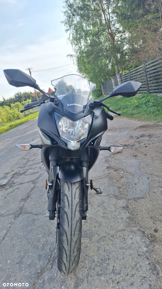 Kawasaki Ninja - 29