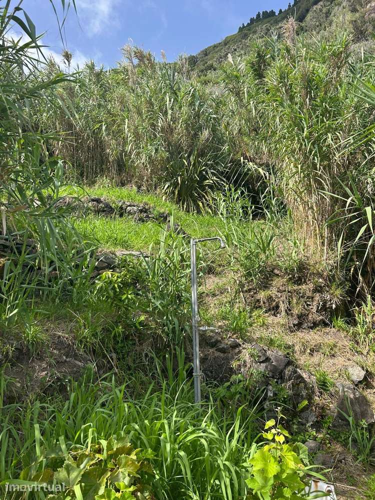 Terreno Rústico na Costa da Povoação – 1.044 m² com Vista Mar - Grande imagem: 3/8