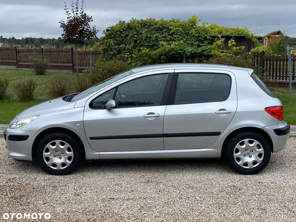 Peugeot 307 110 Tendance - 12