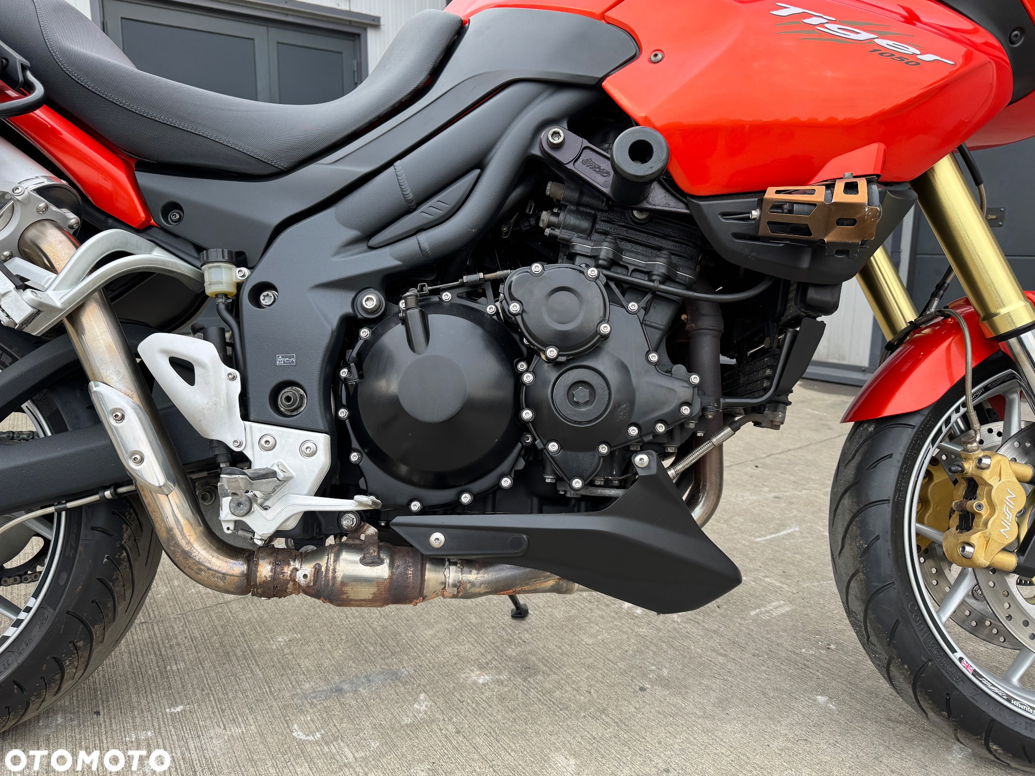 Triumph Tiger - 11