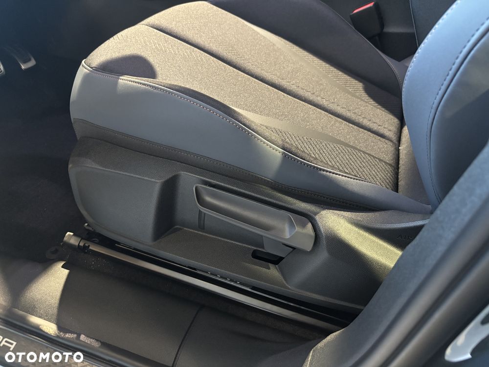 Cupra Terramar 2.0 TSI 4Drive DSG - 18