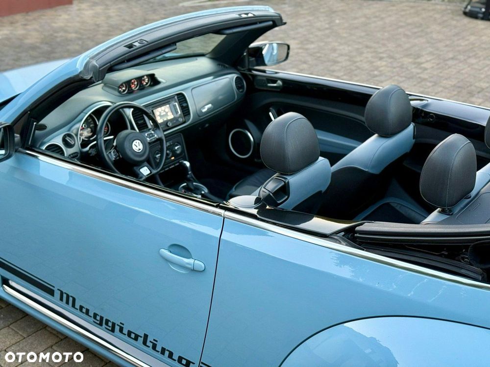 Volkswagen Beetle - 17