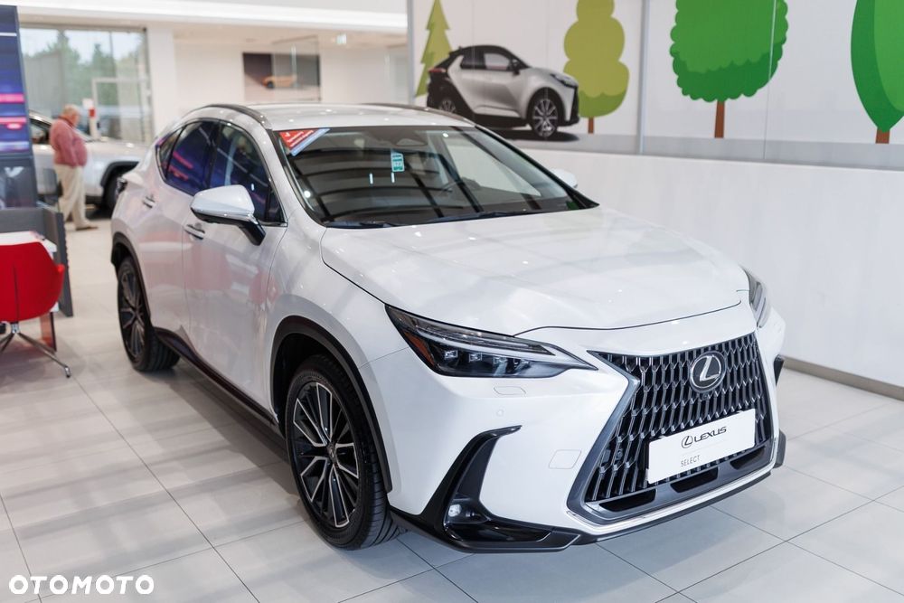Lexus NX - 4
