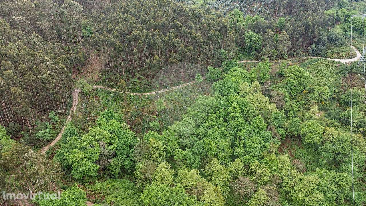 Terreno  para venda - Grande imagem: 3/9