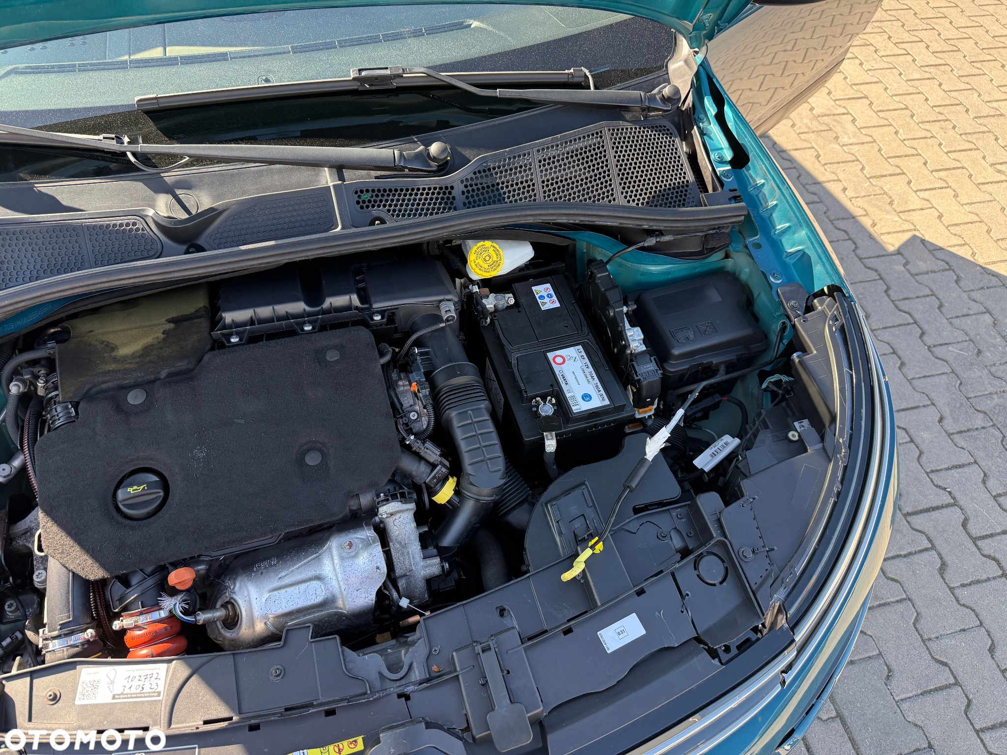 Citroën C4 Cactus 1.5 BlueHDi Shine EAT6 - 22
