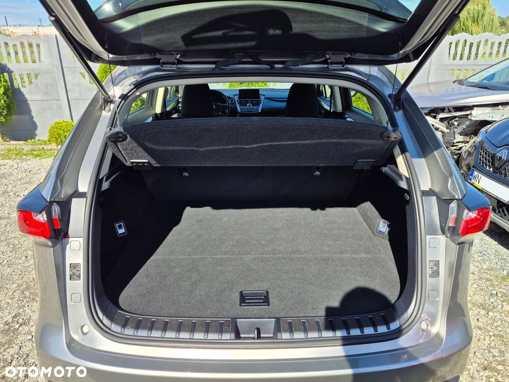 Lexus NX 300h Elite AWD - 20
