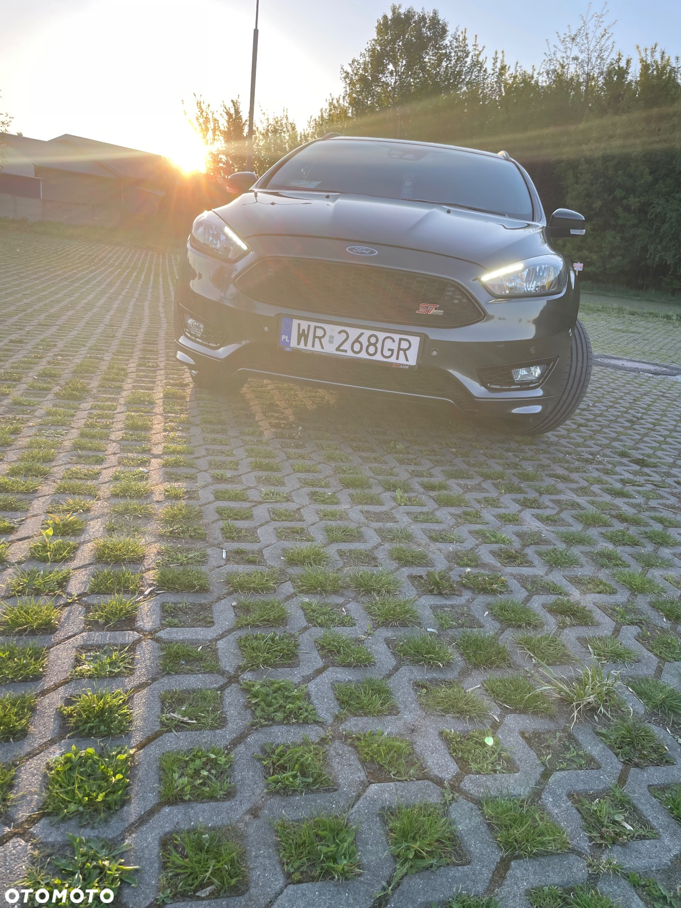 Ford Focus 1.5 EcoBoost ST-Line Black ASS - 5