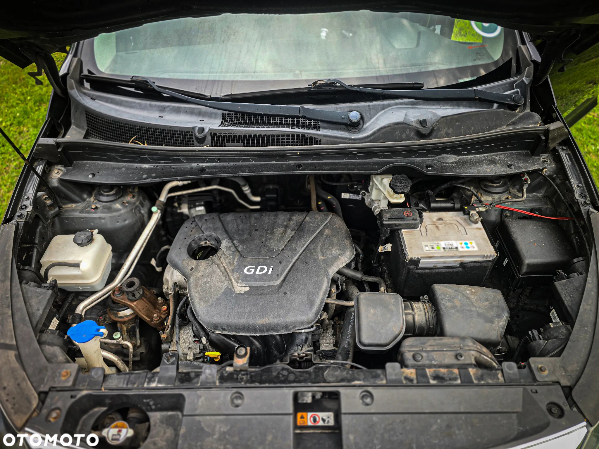 Kia Sportage - 14
