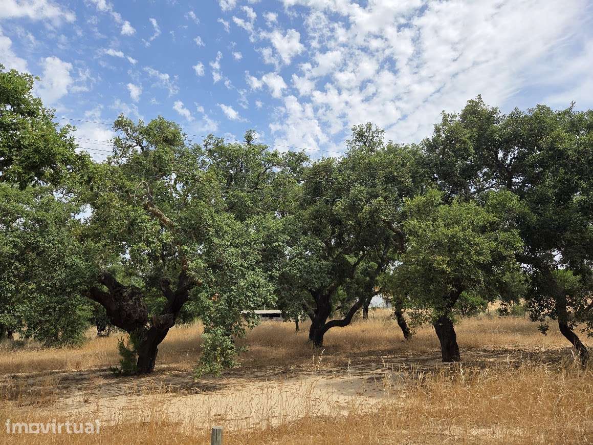 Refúgio Exclusivo no Alentejo Litoral-Melides - Grande imagem: 2/10