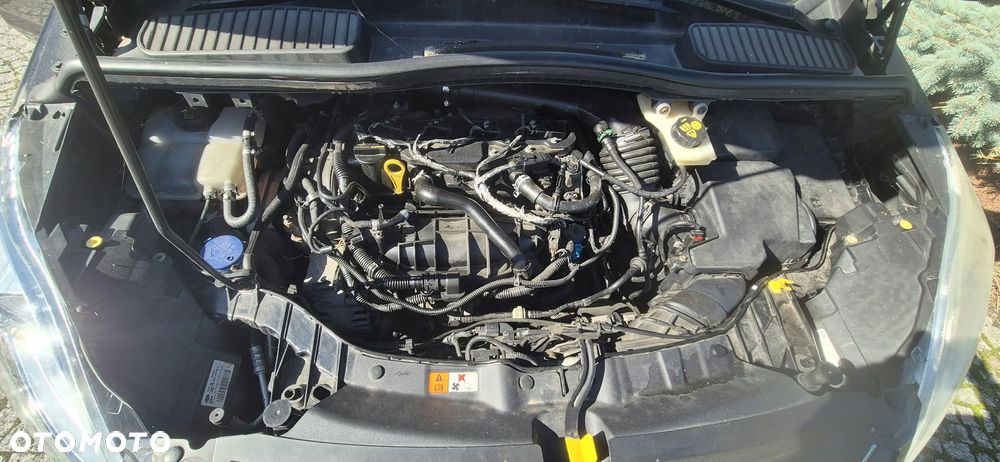 Ford C-MAX - 6