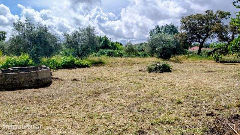 Terreno rustico 500m2 em Touloes Idanha-a-Nova - Grande imagem: 5/6