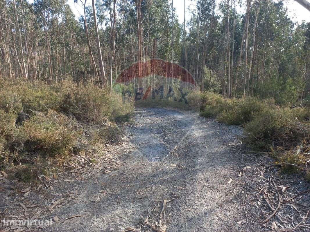 Terreno  para venda - Grande imagem: 2/5