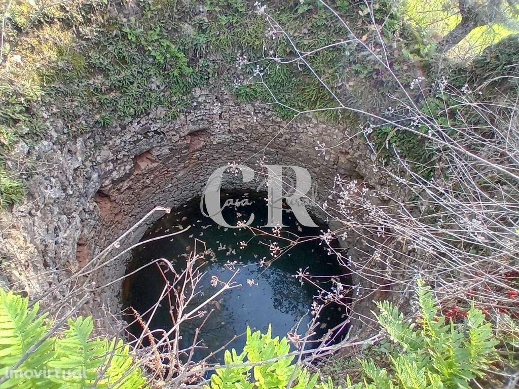 Excelente terreno para construção com cerca de 3.400m2 em Aguda - Figu - Grande imagem: 3/14