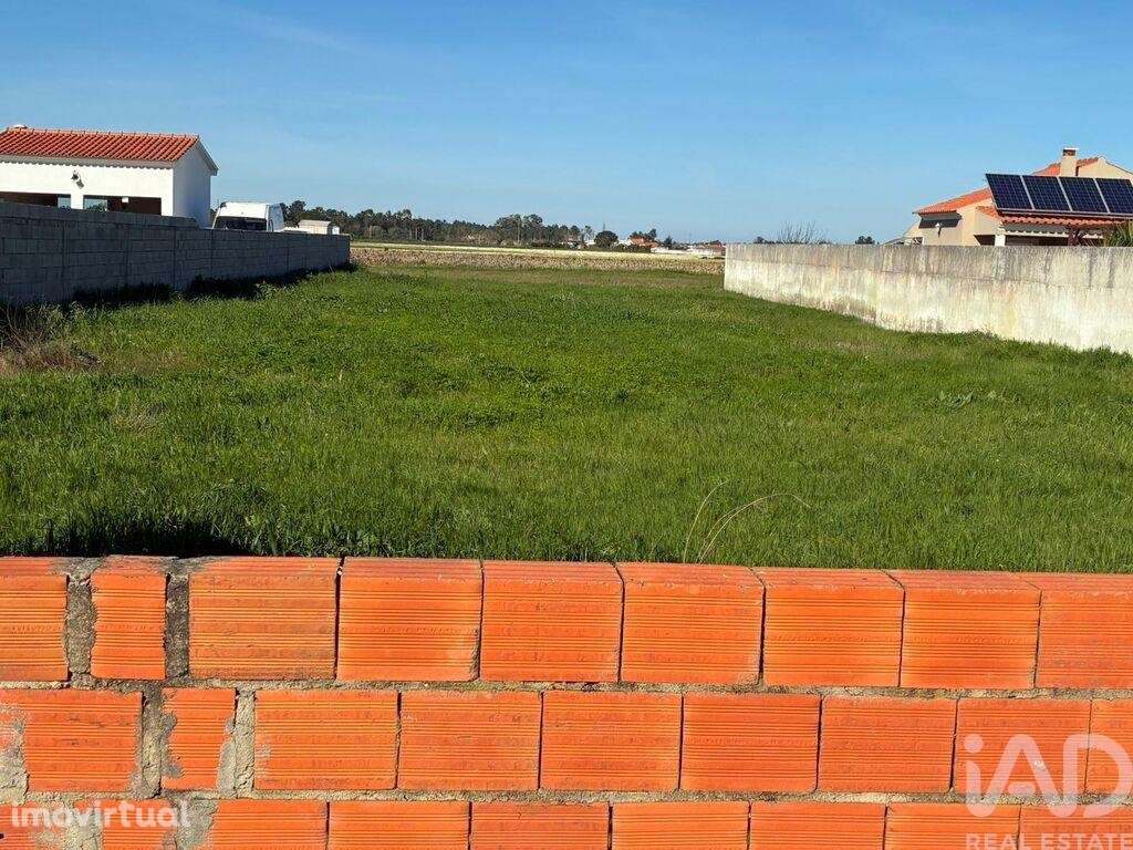 Terreno para construção em Salvaterra de Magos e Foros de Salvaterra - Grande imagem: 4/7